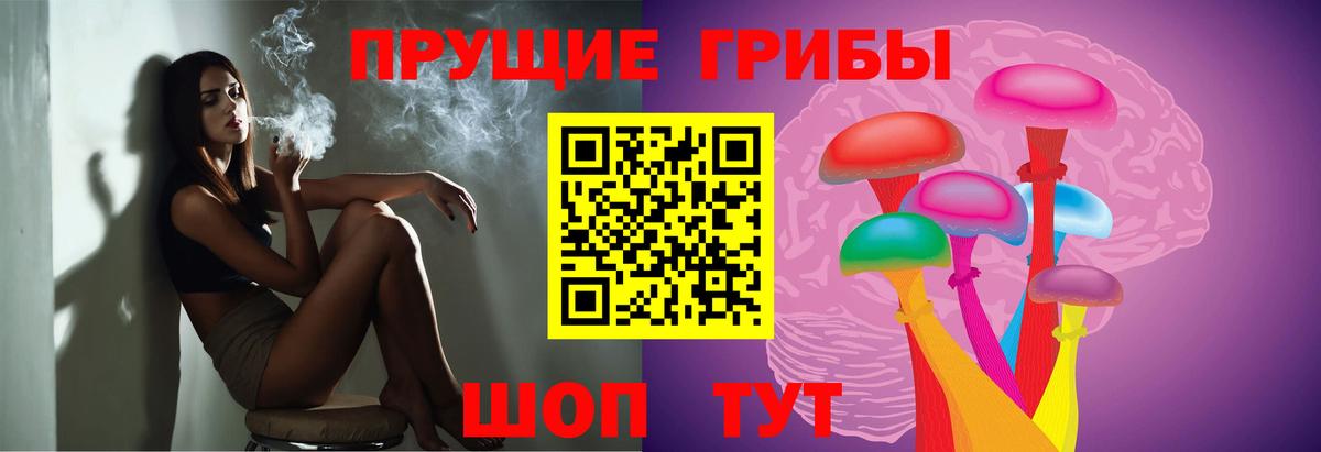 Псилоцибиновые грибы прущие грибы  наркошоп  Галлюциногенные грибы Cubensis  Алексин  Вход с VPN 
